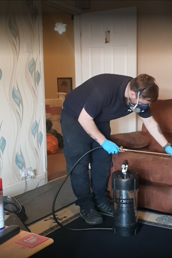 Bed Bug Treatments Services in London