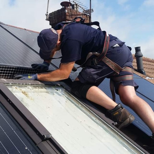 Professional Pigeon Solar Panel Proofing