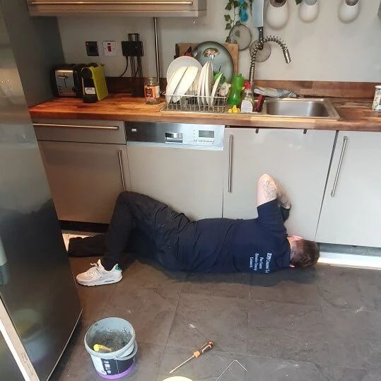 24h emergency pest control Tilbury
