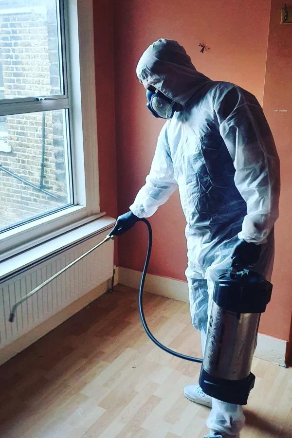 Pest Control Barking