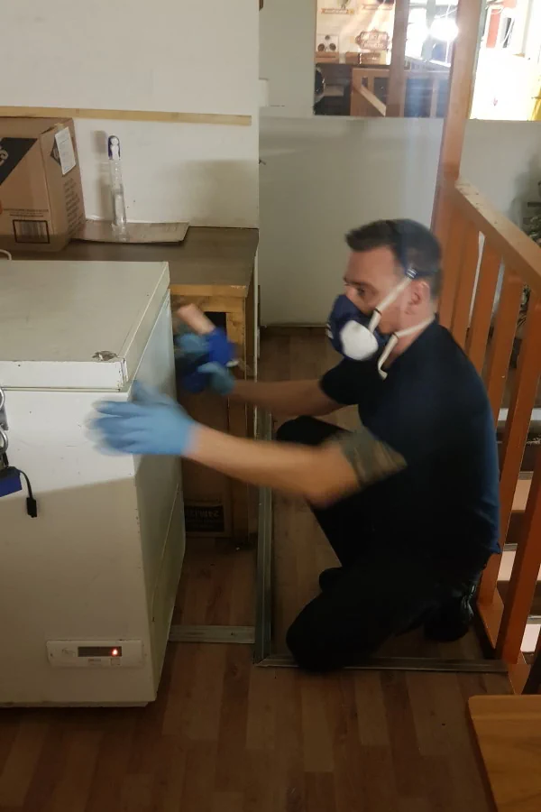 Pest Control Purfleet