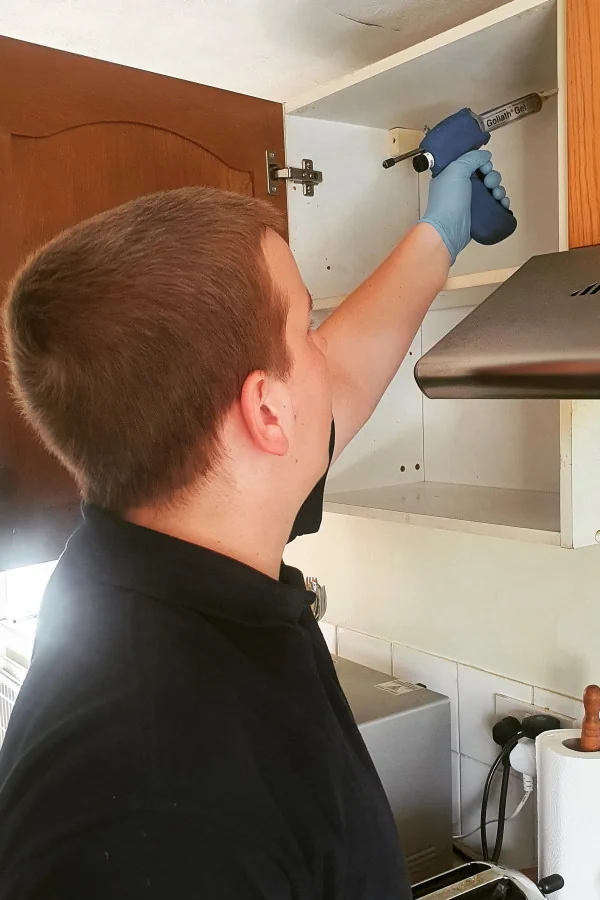 Pest Control Thundersley
