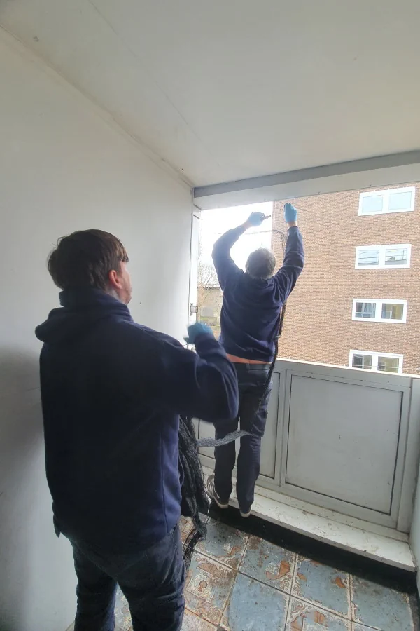 Pest Control Wanstead