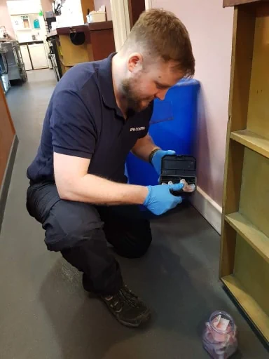 pest control Leyton