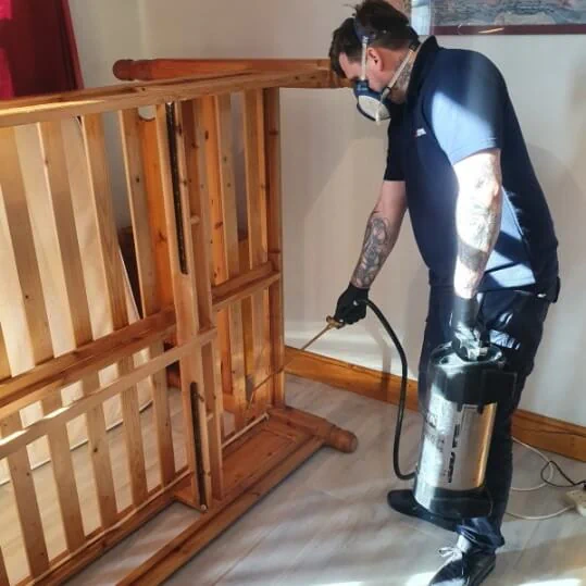 Bed bug control treatments Ilford